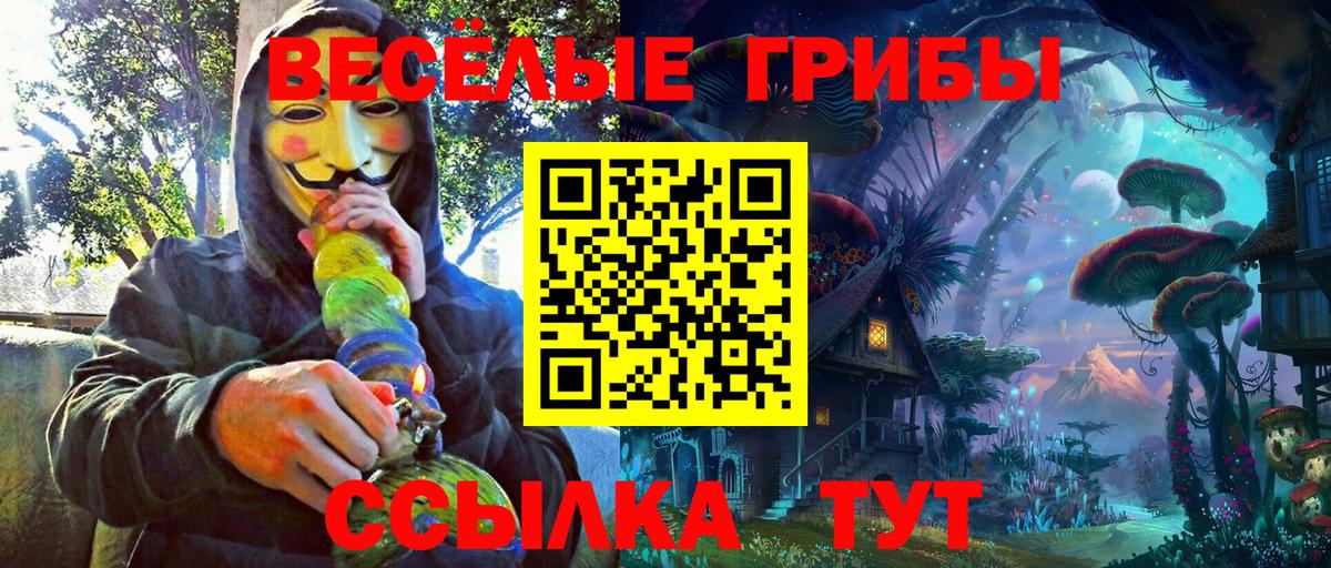Псилоцибиновые грибы мухоморы  Вход с VPN  наркошоп  Находка 