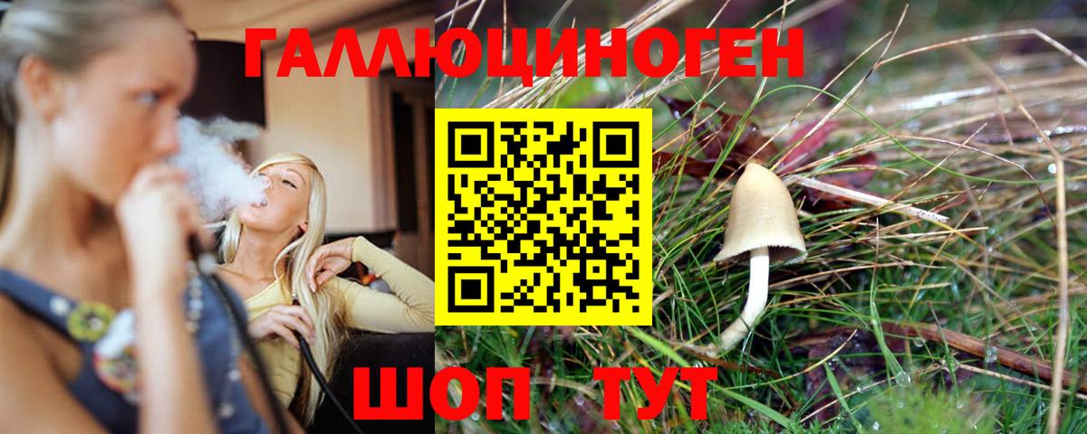 Галлюциногенные грибы Magic Shrooms Находка